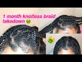 1 MONTH OLD KNOTLESS BRAID TAKEDOWN | NEW GROWTH UPDATE | SIERRA SARON