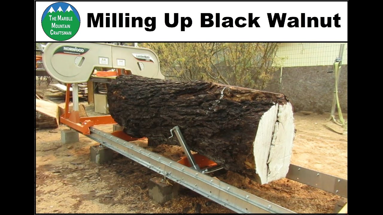 Milling Up A Black Walnut Log YouTube