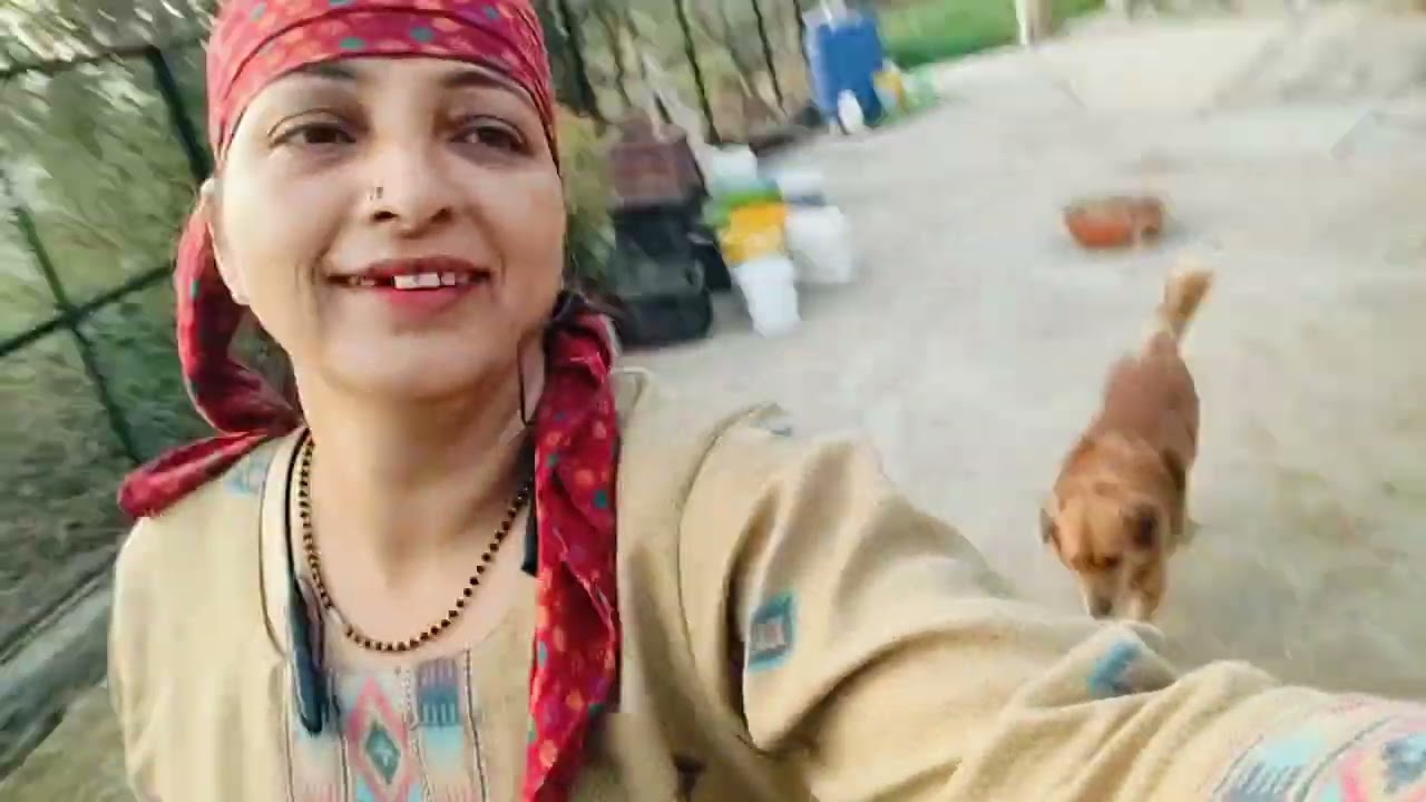 आज ये नया चैलेंज शुरू❤️❤️❤️गिद्दा