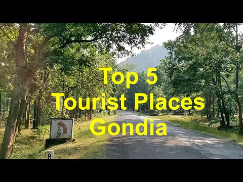 top 5 tourist places in Gondia Maharashtra