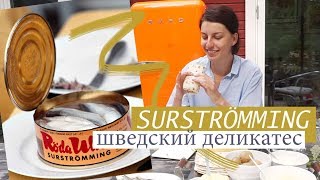 Как правильно есть знаменитую шведскую селедку сюрстрёмминг (surströmming)