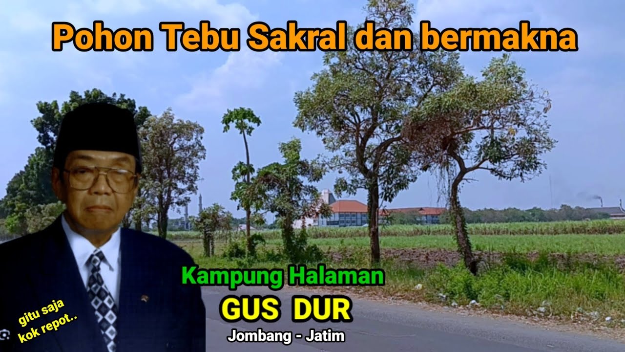 Kampung halaman Gus Dur Lokasi Makam tempat kelahiran seputar Pondok pesantren di pedesaan Jombang.