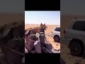 هنا ستعرف لماذا خلق الله الجنه والنار