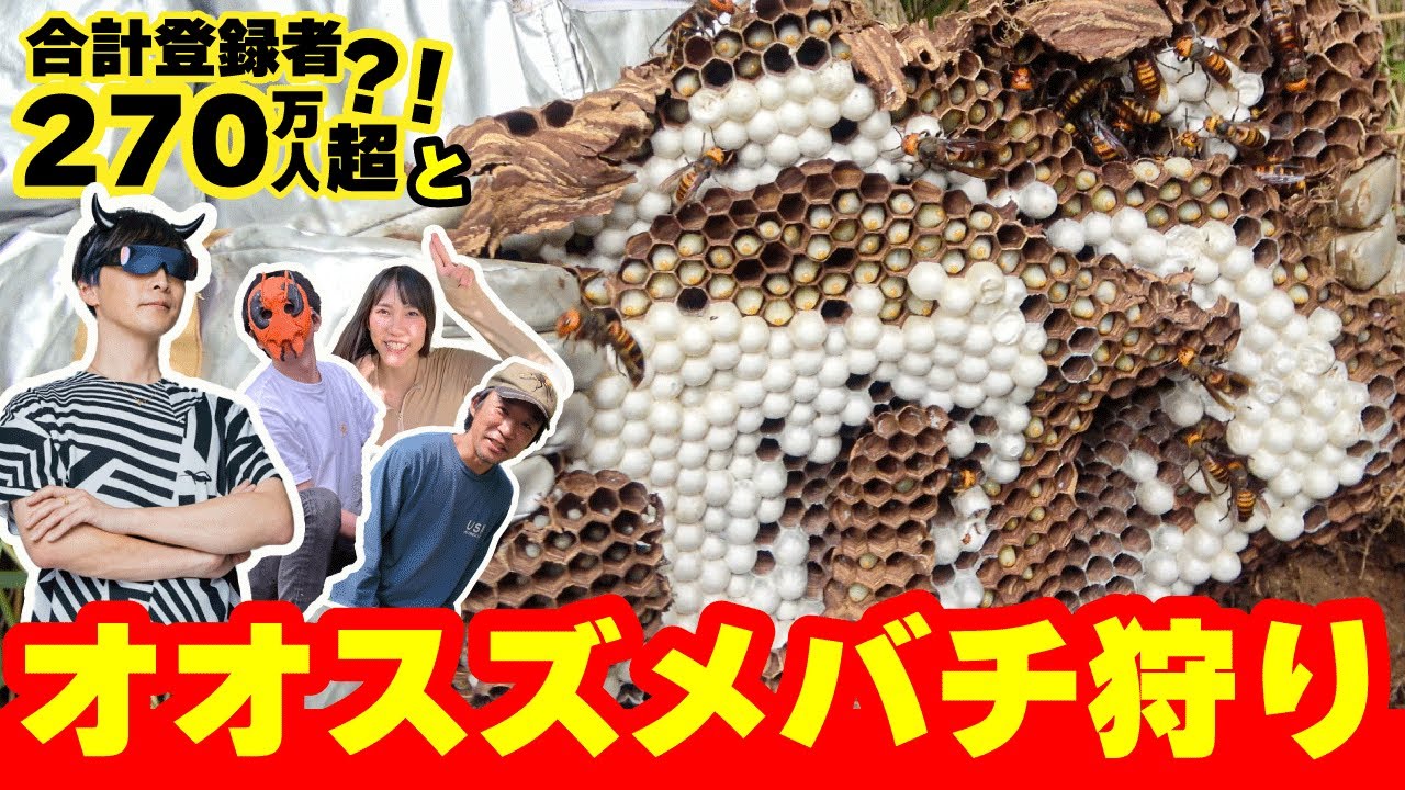 昆虫界の猛者たちとオオスズメバチ狩り