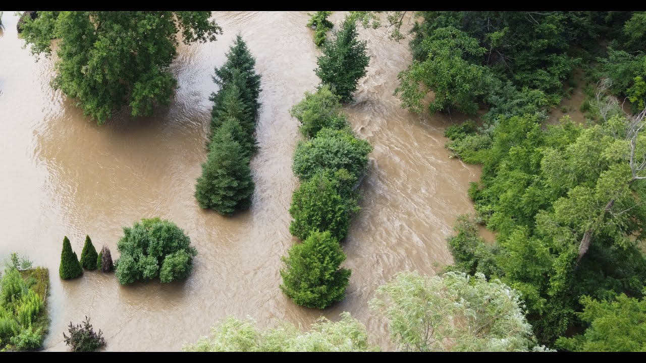 Wetlands and Woodlots: Reducing the Impacts of Flood Events