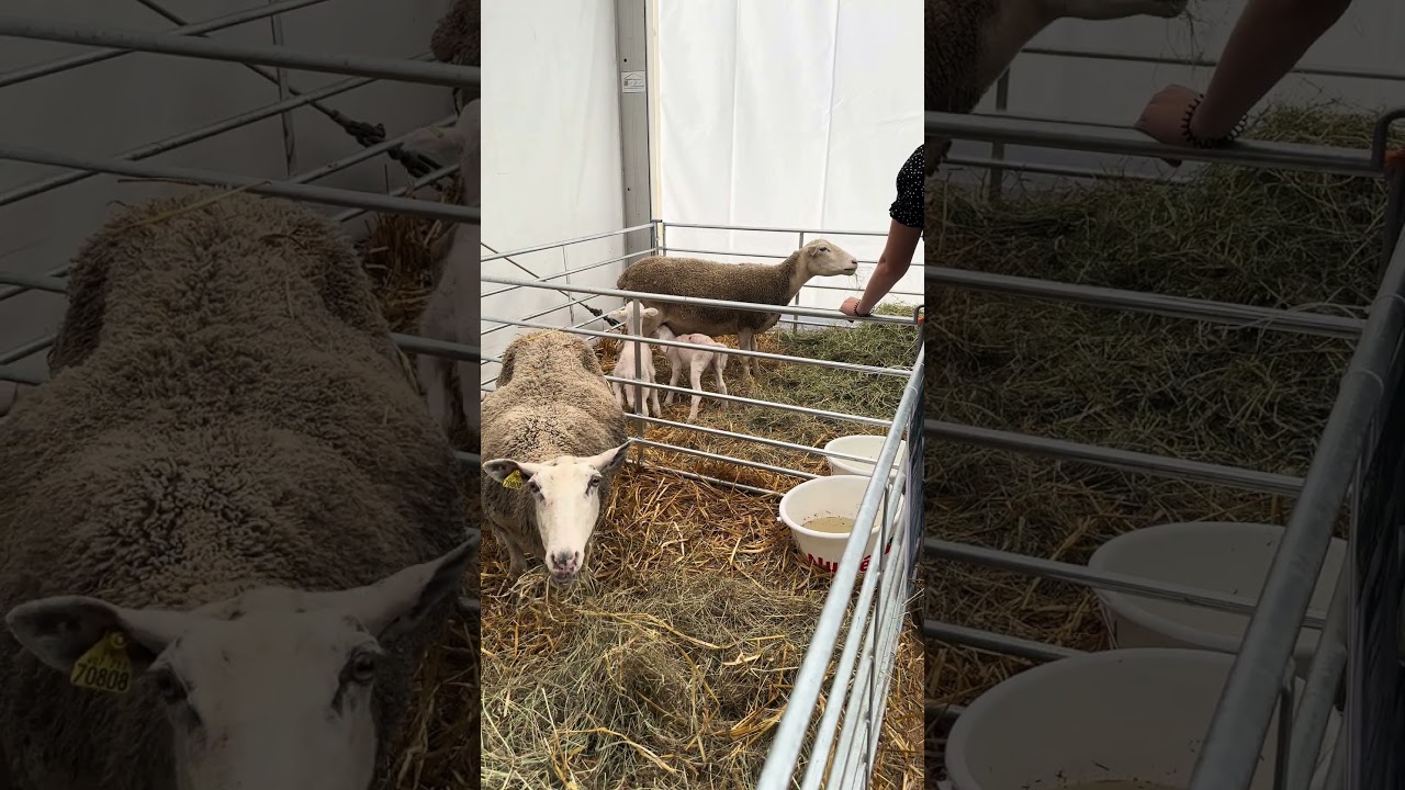 Терапия : Самый спокойный тур в вашей жизни