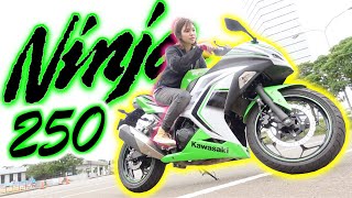 【増車!?】スポーツバイクがカッコ良すぎる…！！【kawasaki ninja 250】
