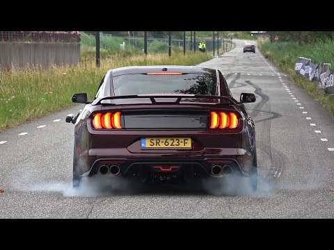 Ford Mustang 5.0 V8 Royal Crimson GT Performance – BURNOUT & SOUND!