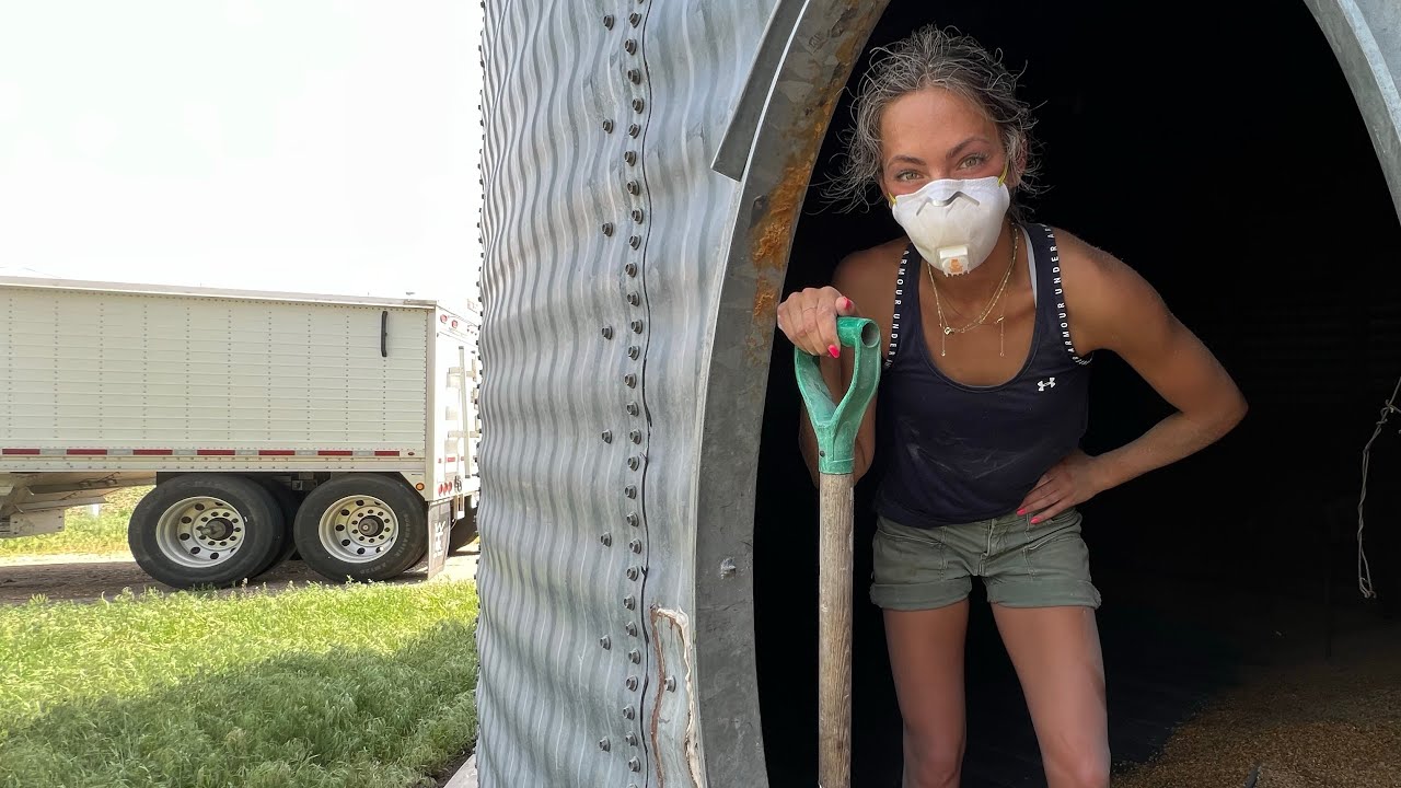 Hand Shoveling Out A Grain Bin