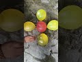 Balloons challenge #balloons #shorts
