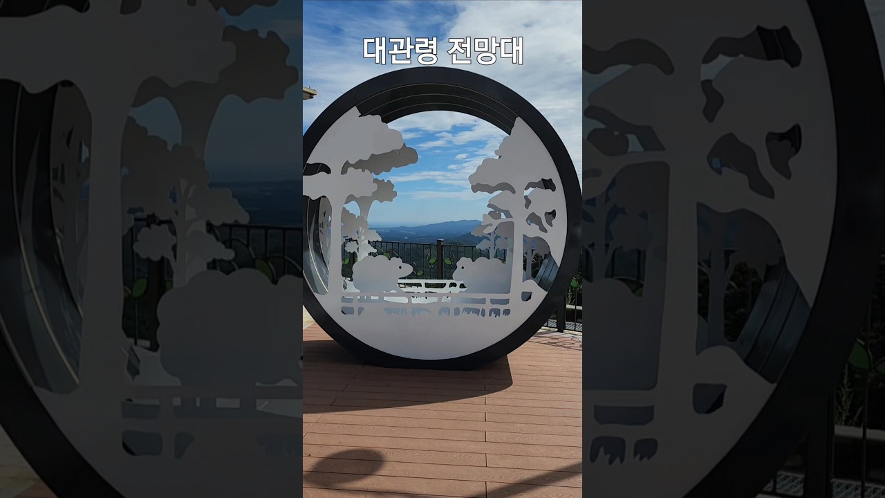 여~가 강릉이래요❤️대관령전망대 #쇼츠 #여행 #shorts
