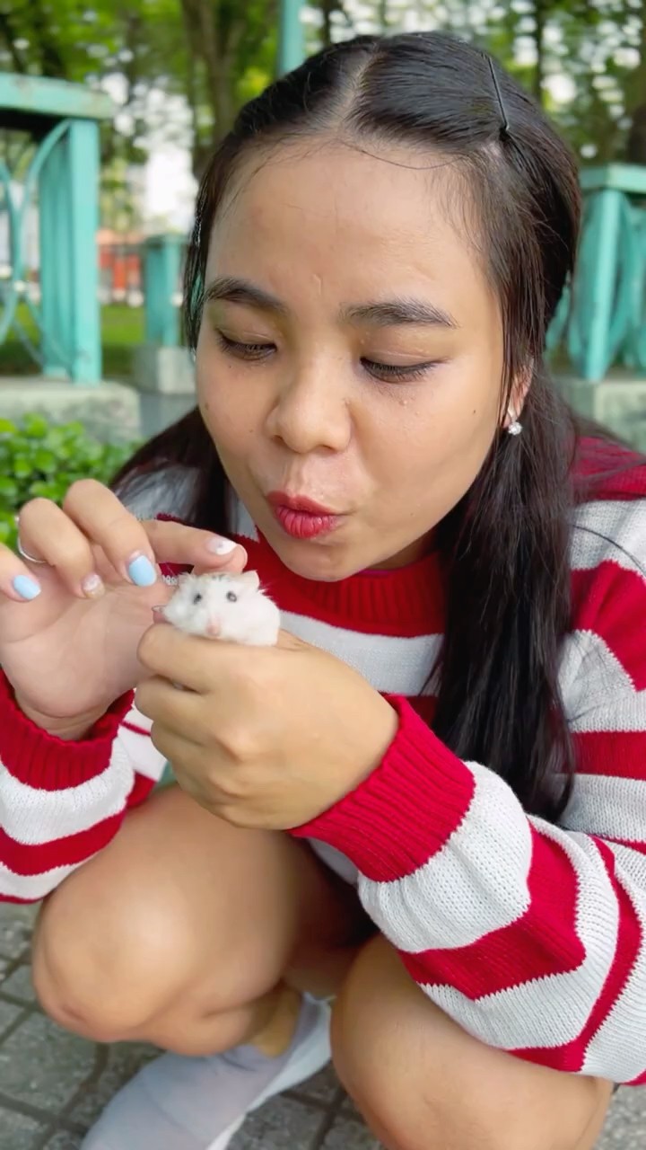 LNF - Cô gái bị phá hỏng  đồ chơi squid game || Poor girl and squid game maze toy #shorts