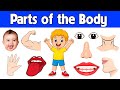 Body Parts for Kids | Learn Body Parts & Sense Organs with Pictures | Kids Vocabulary