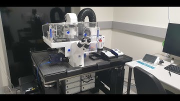 Introducing the IMB Microscopy Facility New ZEISS Axio Observer 7 High-Speed Imaging System