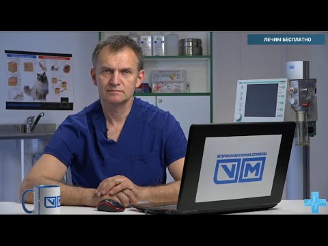 Лечим бесплатно