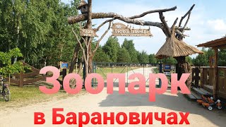 Зоопарк Барановичи Диприз. Обзор зоопарка. #беларусь #зоопарк #баранивичи #подпишись #диприз