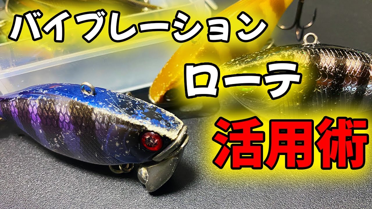 TNトリゴン】秋のバイブレーション早巻き術【バス釣り】【三河湖