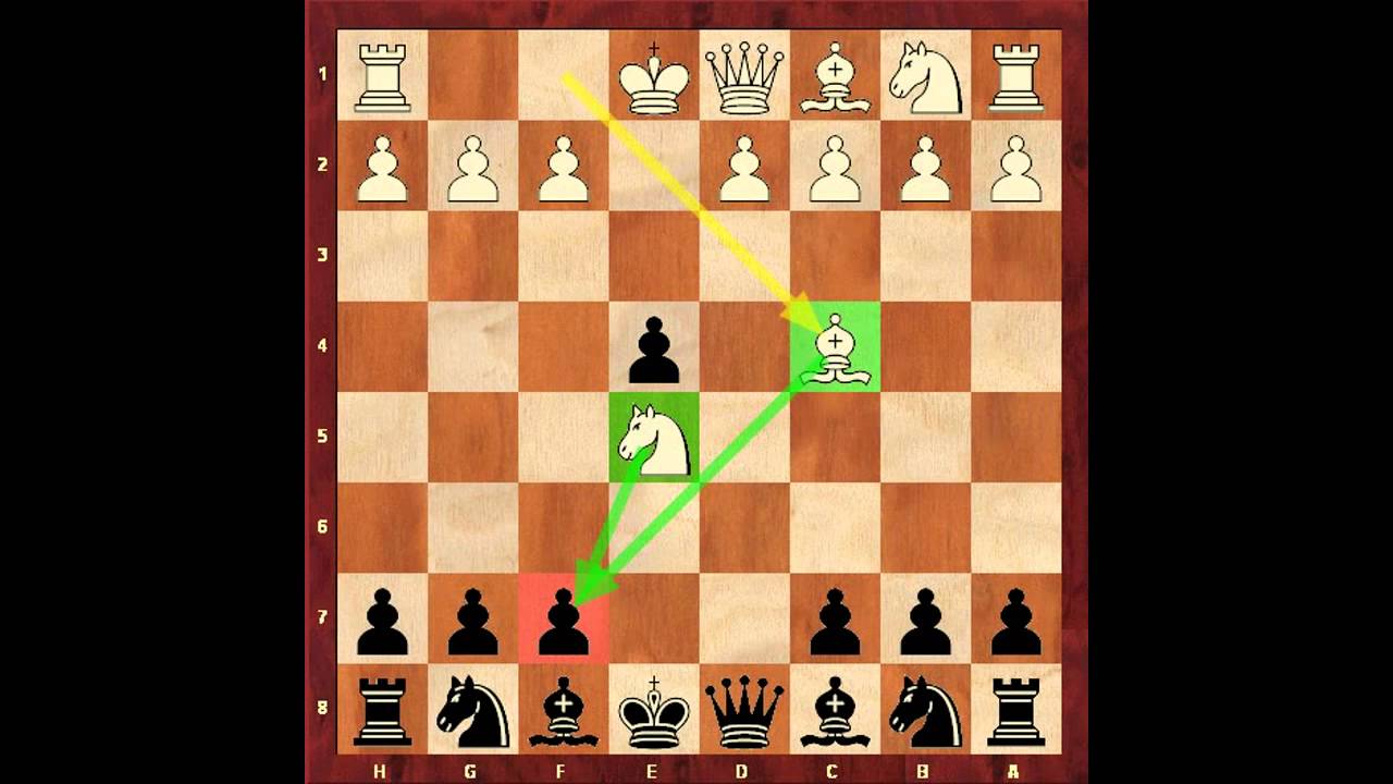 best chess openings