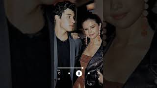 Hard to forget you (selena gomez -shawn mendes) audio