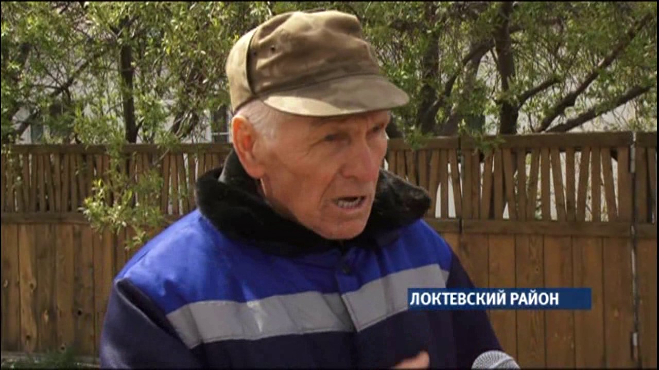 В Локтевском районе люди отказываются от домашнего скота, потому что его негде пасти