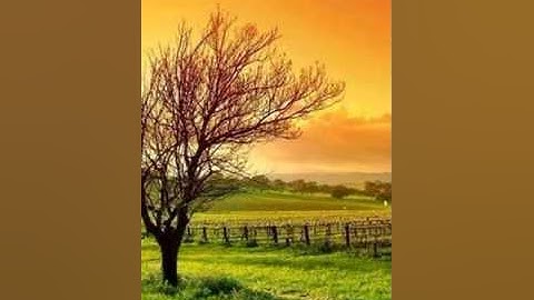 سوره القارعه الشيخ باسل ياسر عمار