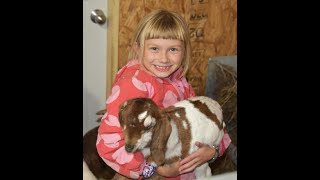 Best Way to Load and Move Our Baby Goats