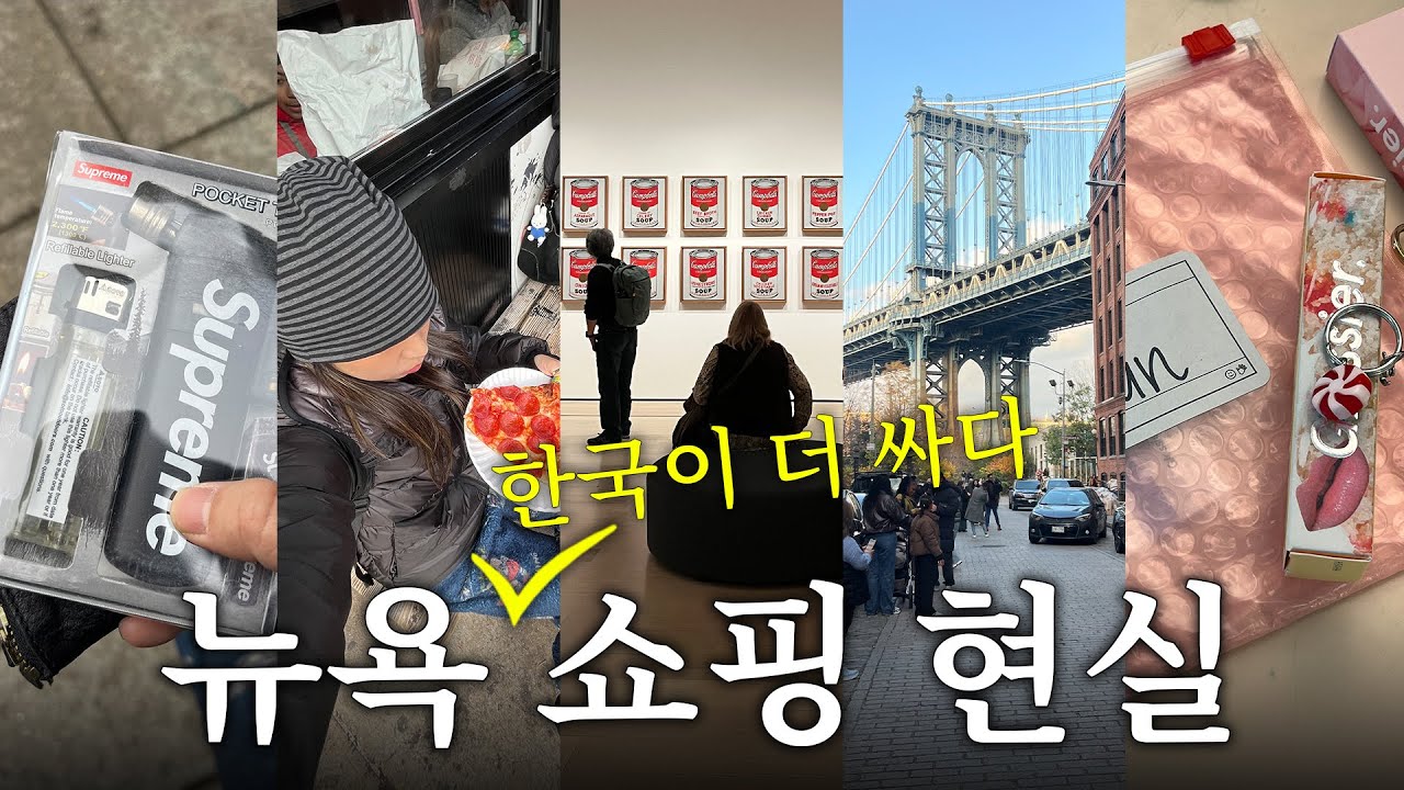 🇺🇸뉴욕 쇼핑 브이로그 2탄 | 기대와 달랐던 뉴욕 쇼핑 현실 | 4박 6일 여행 일정 전부 다