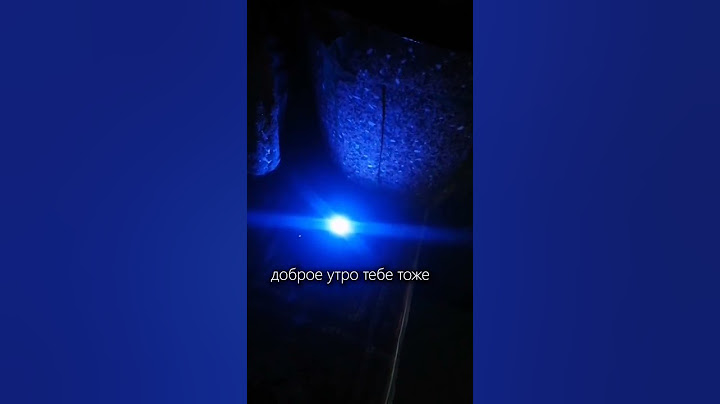 Алиса сошла с ума🤣