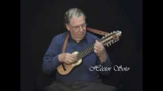 Miniatura del video "Quiero ser tu sombra - Héctor Soto - Charango - Musica instrumental andina"