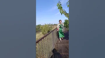 Лев погнался за павлином! Парк львов 