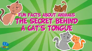 Animal Fun Facts : The secret behind a cat’s tongue | Educational Videos for Kids