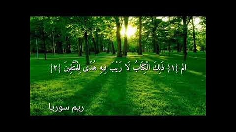 ماهر المعيقلي //سورة البقرة// حالات واتس اب