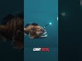 10 Terrifying Creatures Found Deep in the Ocean #shorts #facts #marinemystery #animals #wildlife