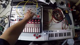 Buchla Music Easel - Triggering with Midi
