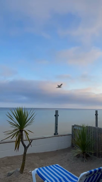 How Many Views Likes Can A Palm Tree Sunrise Get YouTube how-many-views-likes-can-a-palm-tree-sunrise-get-youtube