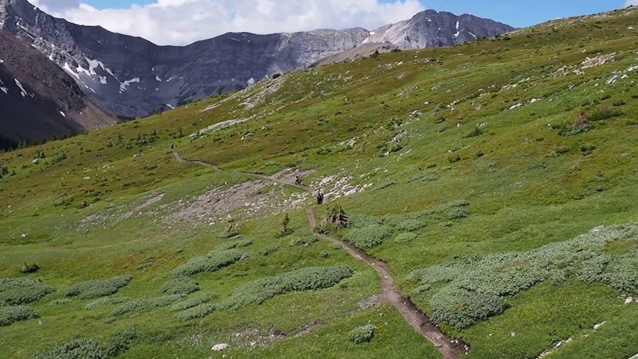 旅人ゆき の カナナスキス ターミガンサークの花畑 Ptarmigan Cirque Canada Youtube