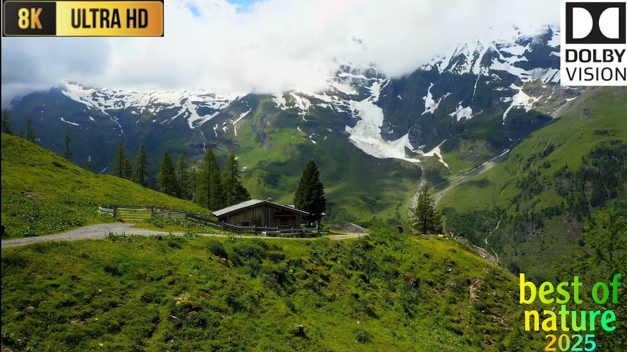 Nature's Refuge: A Serene Escape in 8K"