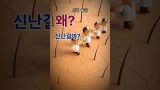 왜 신난걸까? #건강 #건강한중년 #탈모#건강정보 #두피건강