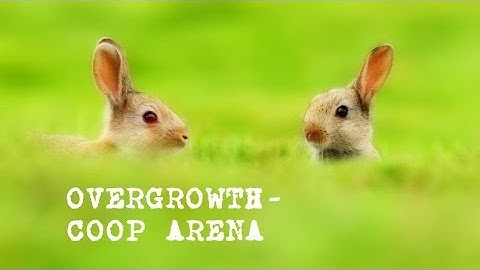 Overgrowth - Split screen Arena