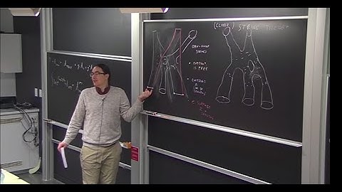 Davide Gaiotto String Theory Lecture 1(String perturbation theory, D branes, dualities etc)