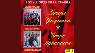 Video thumbnail of "Los Yaguarú - Trieste Corazon"