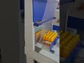 mango juice fruity web sealer, group packing machine | shrink wrapping machine #shrinktunnel