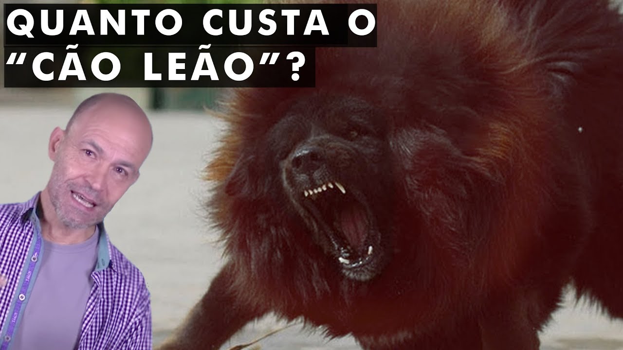 5 RAÇAS de CACHORRO mais caras do mundo