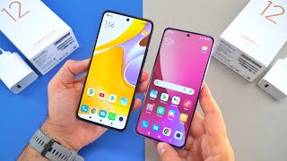 Xiaomi 12 Lite против Xiaomi 12 – в чем разница и сравнение камер