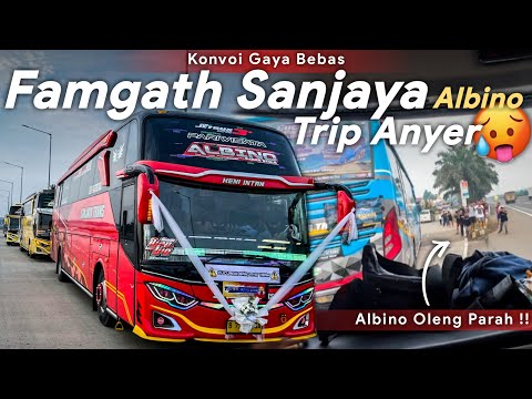 FULL OYAG !! KONVOI 6 BUS PALING BAR - BAR ! | NAIK ALBINO DI TRIP ANYER FAMGATH SANJAYA TRANS