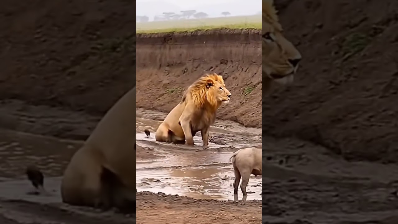 #электроннаямузыка