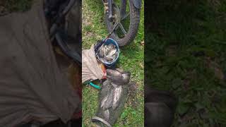 Download Lagu sekuli hauupp MP3