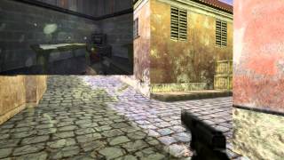 CS 1.6 Gun Sync: Animals