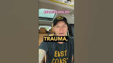 A Reactive dog anthem. #reactivedog