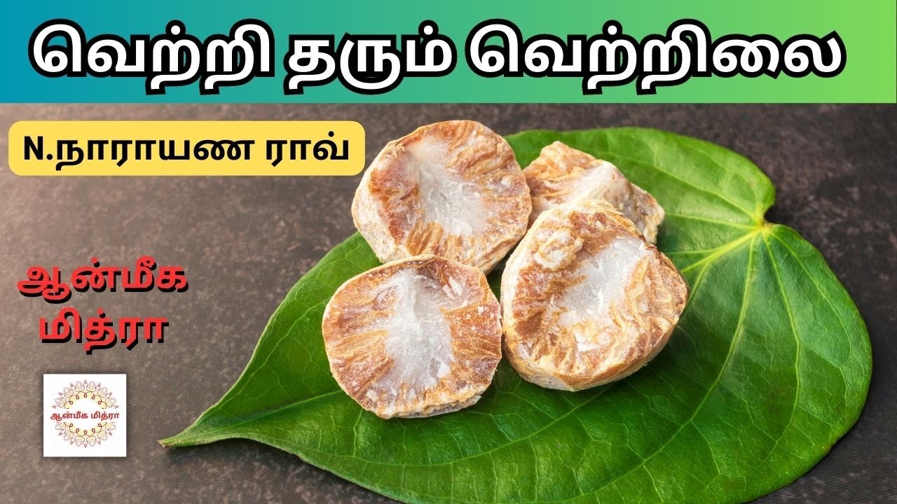 Betel Leaf Uses In Tamil Vettrilai N betel-leaf-uses-in-tamil-vettrilai-n